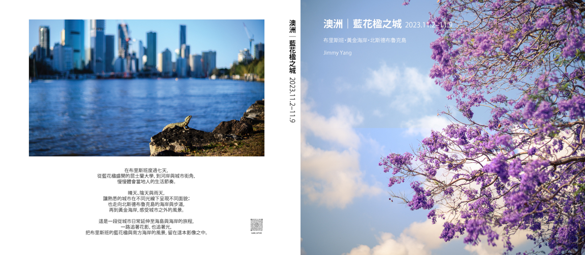 澳洲藍花楹之城